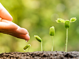 iStock_4516712_MegaPhone_Blue