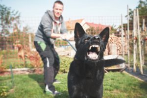 Young man with angry black dog on a leash.