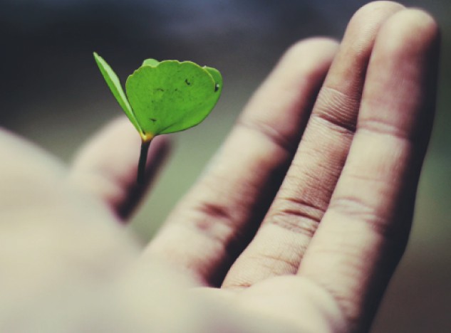 Hand holding leaf to show how we are advancing innovative and neglected medical research