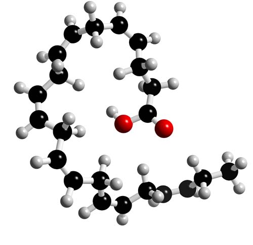 DHA molecule