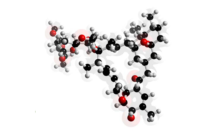 Ivermectin molecule