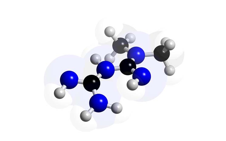 Metformin molecule