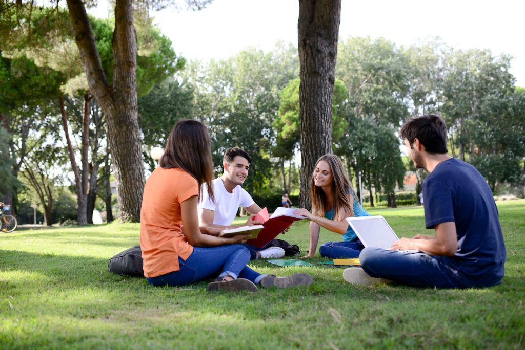 group of college students sitting together on green lawn