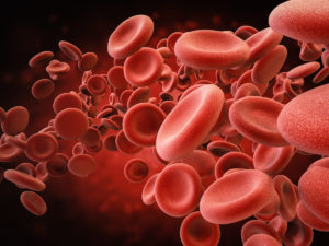 Blood tests may be used to detect cancer as shown by 3d rendering red blood cells in vein