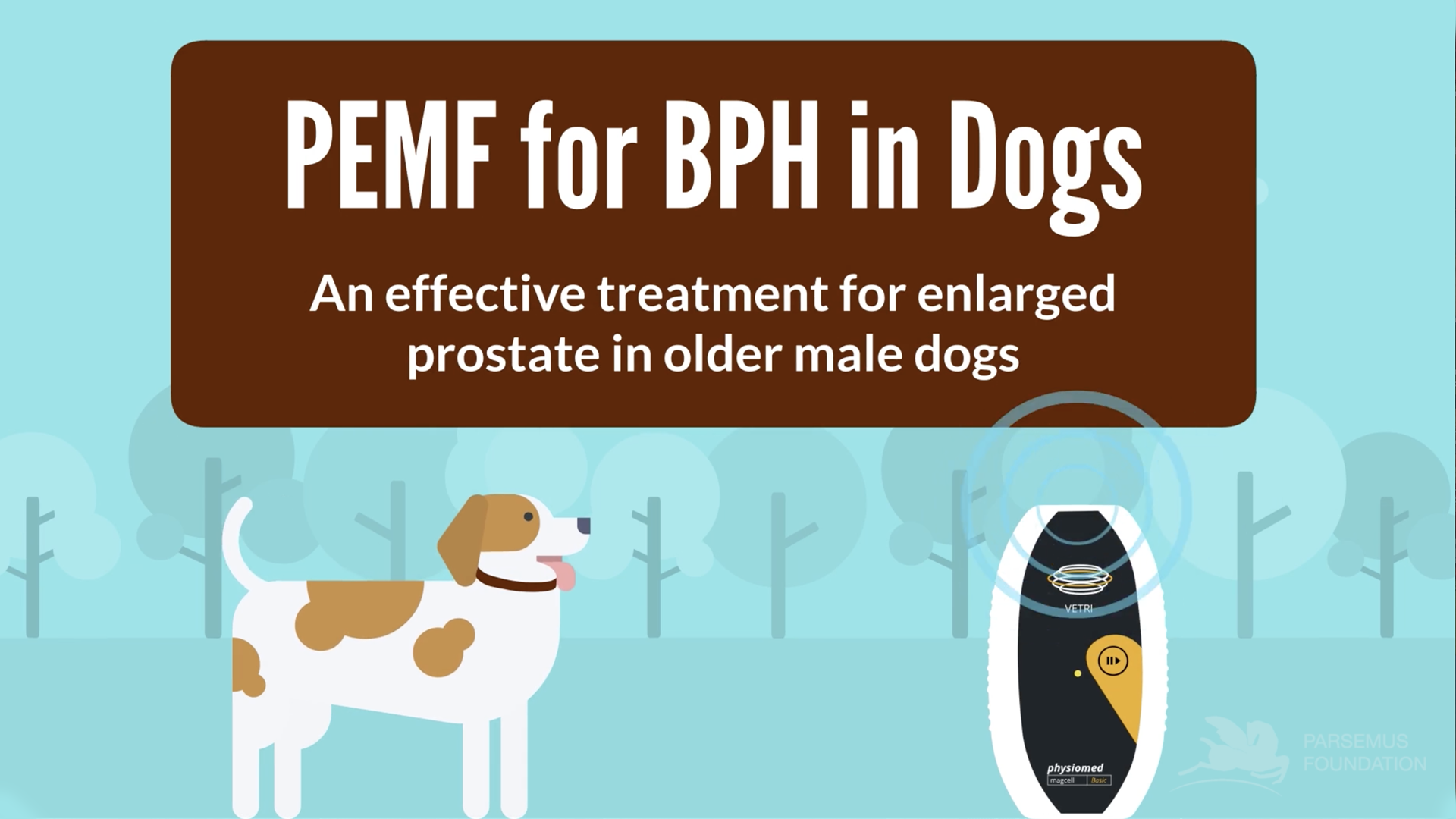Video about PEMF for BPH in Dogs