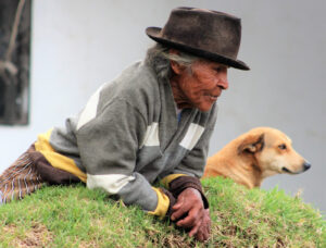 Amici Cannis man and dog