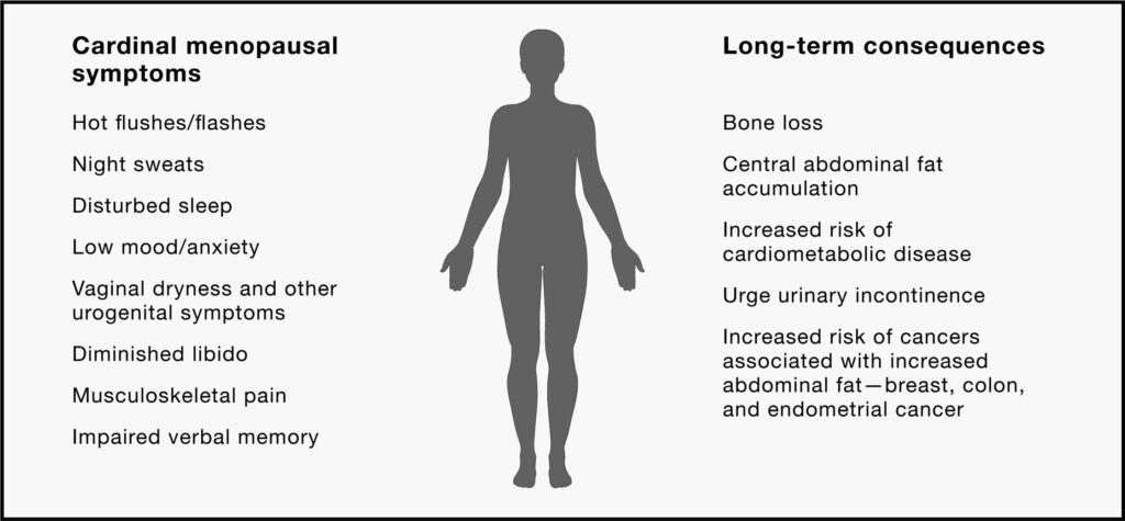 Menopause symptoms and consequences