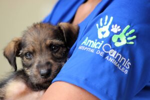 Amici Cannis staff holding puppy