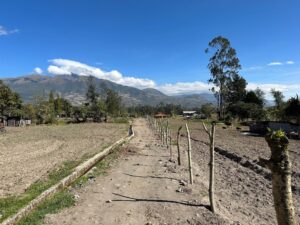 Amici Cannis in Ecuador