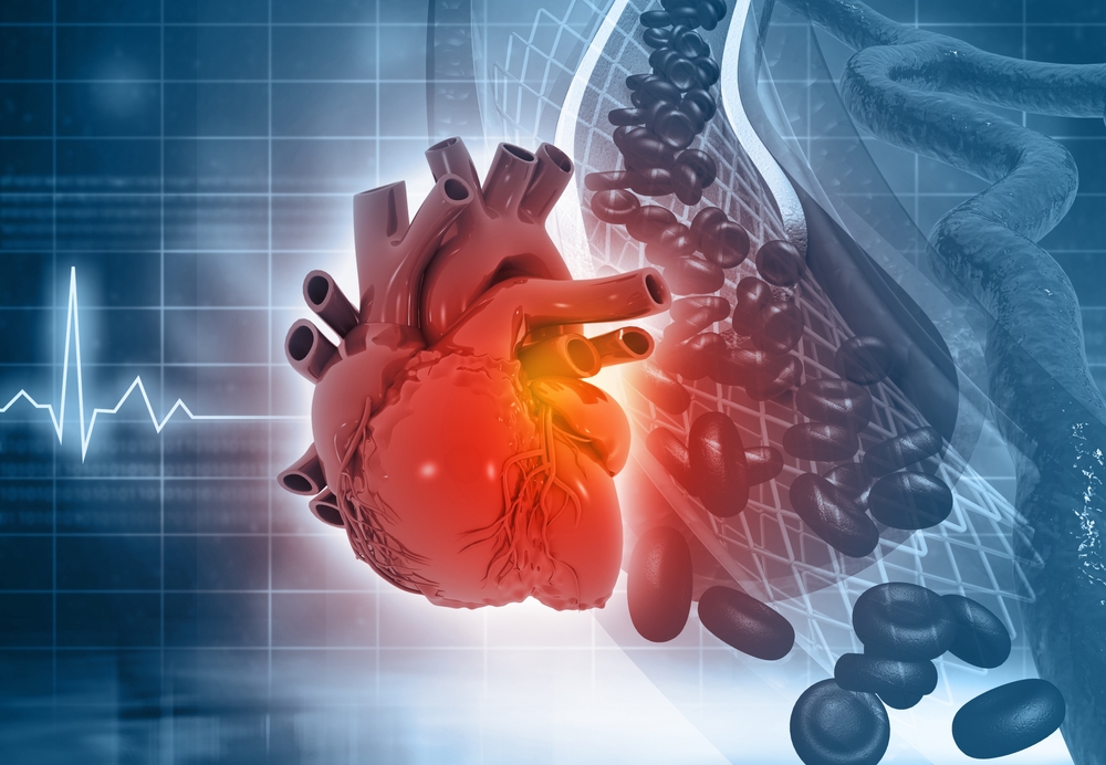 Human heart with blood cells