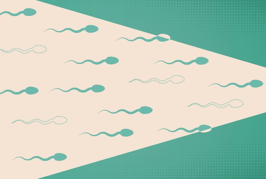 swimming sperm image