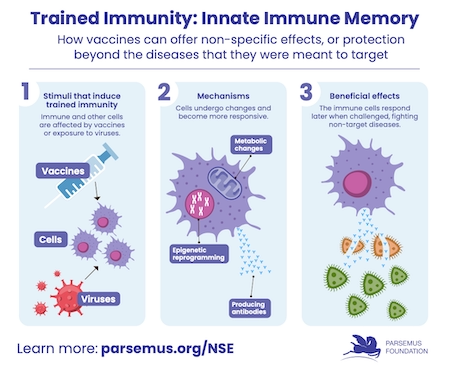 Trained immunity: innate Immune Memory