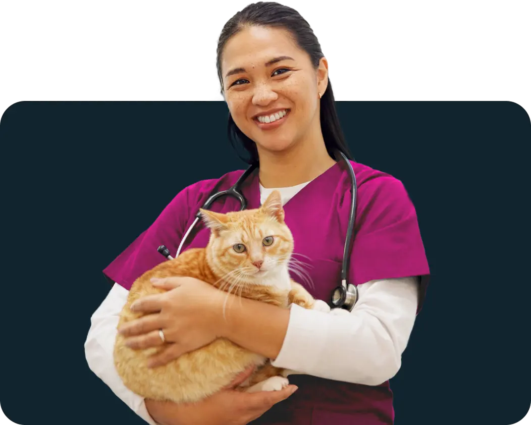 Free Veterinarian Directory from Parsemus Foundation