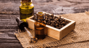 Clove oil for dog sterilization