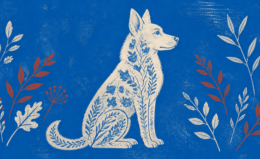 Dog silhouette in field of leafy plants