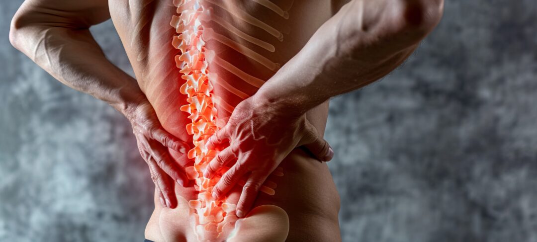 Image of back and spine