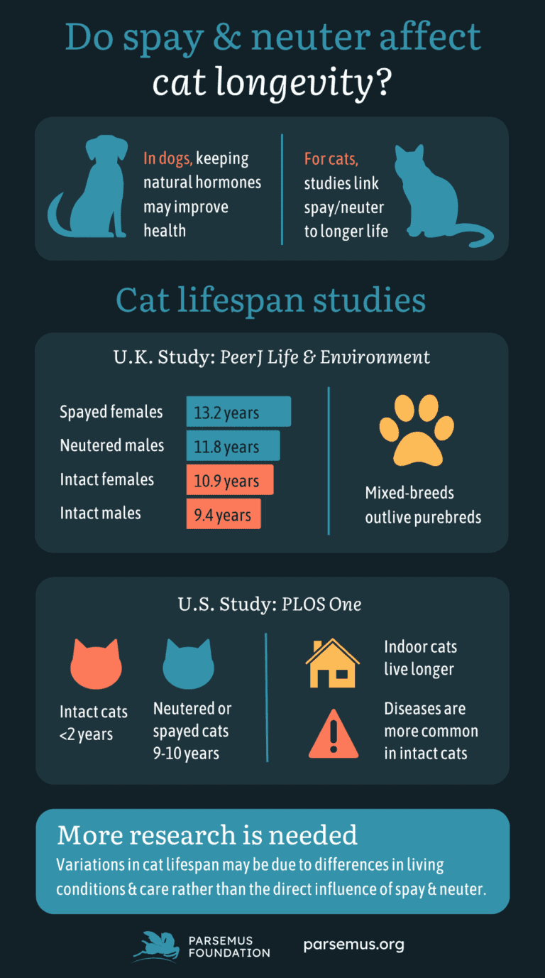 The effect of spay/neuter on cat longevity - Parsemus Foundation