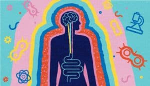 Image illustrating the gut-brain axis important for Alzheimer's prevention