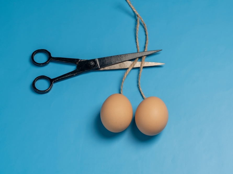 How did you celebrate World Vasectomy Day?